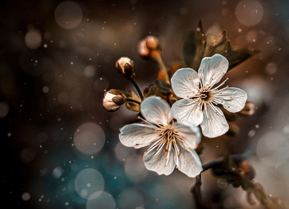 Photograph by Наталья Исиченко