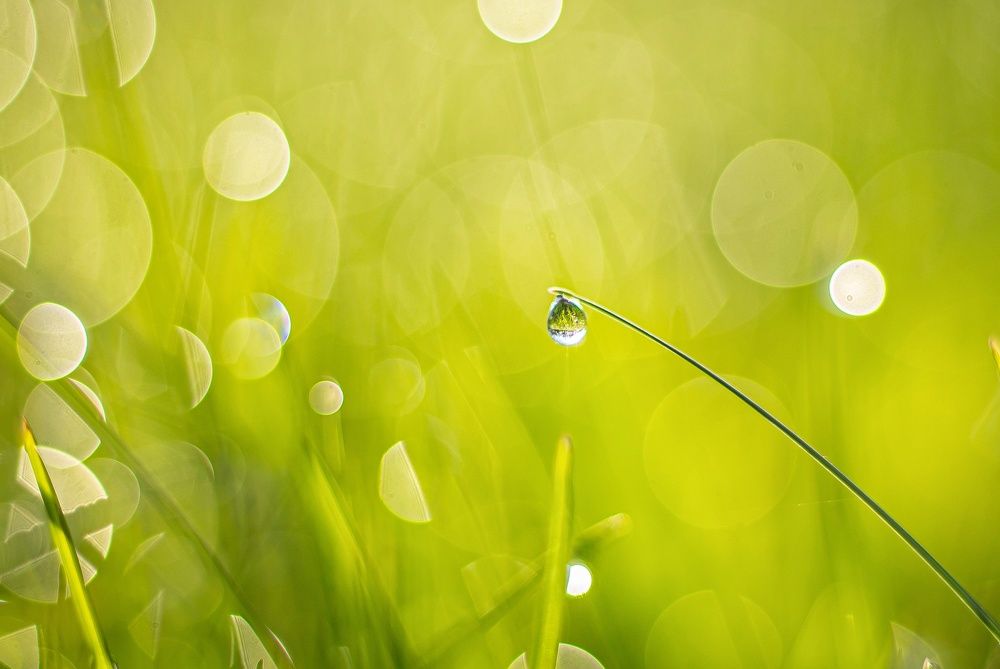 Photograph by Наталья Исиченко