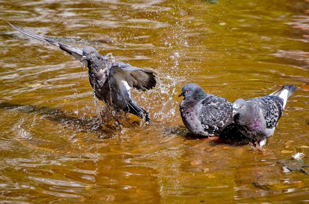 Photograph by Любовь Бусова