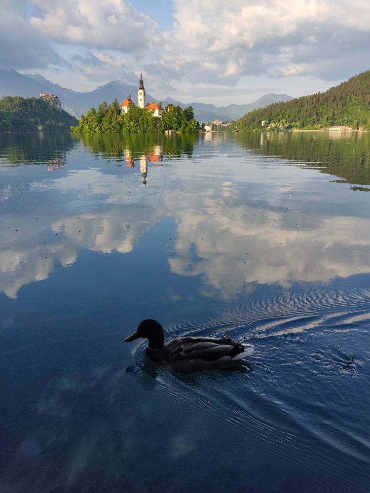 Photograph by Fahrudin Seferagić