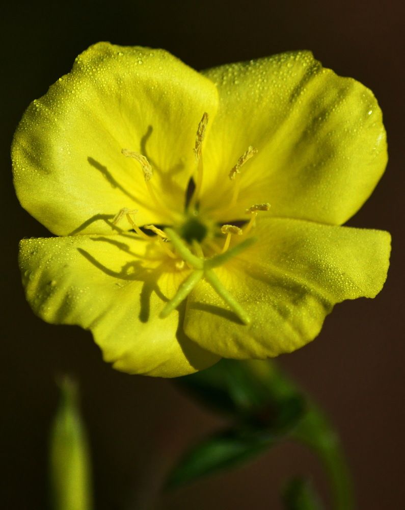 Photograph by Николай Николаевич Леухин