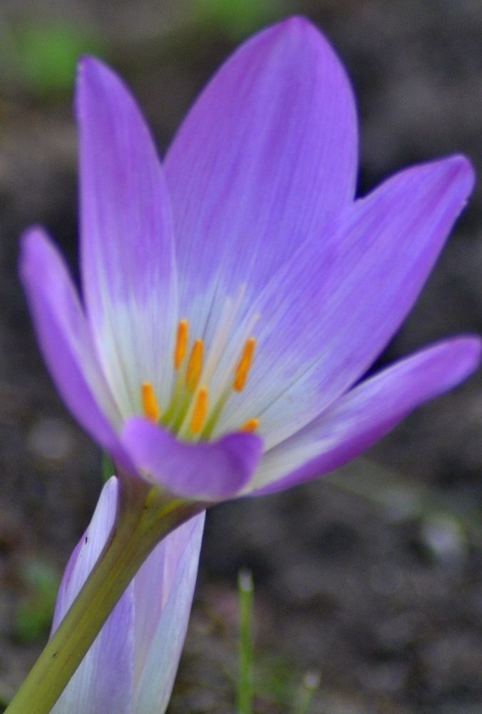 Photograph by Николай Николаевич Леухин