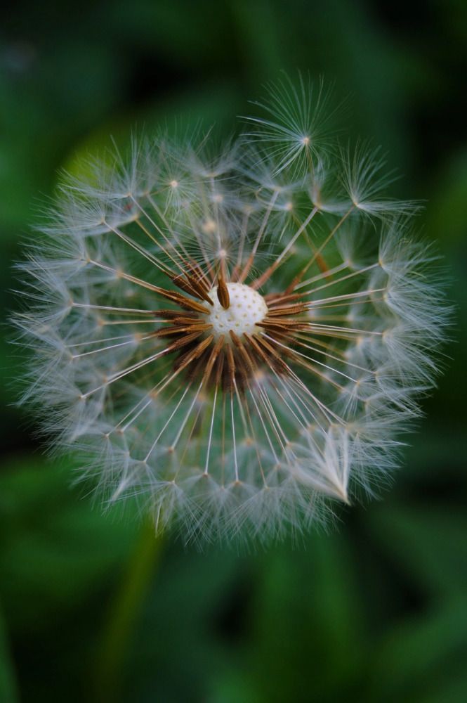 Photograph by Ирина Чувило