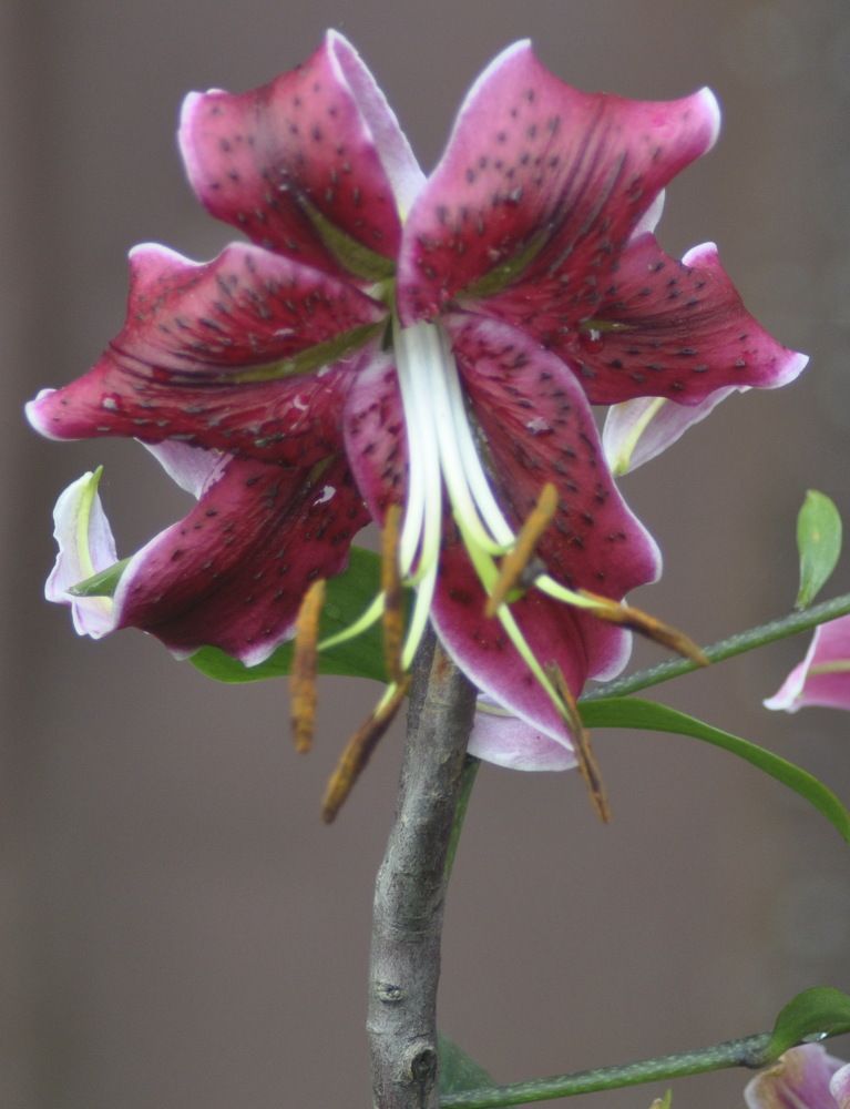 Photograph by Николай Николаевич Леухин