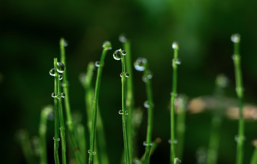 Photograph by Andrey Rut