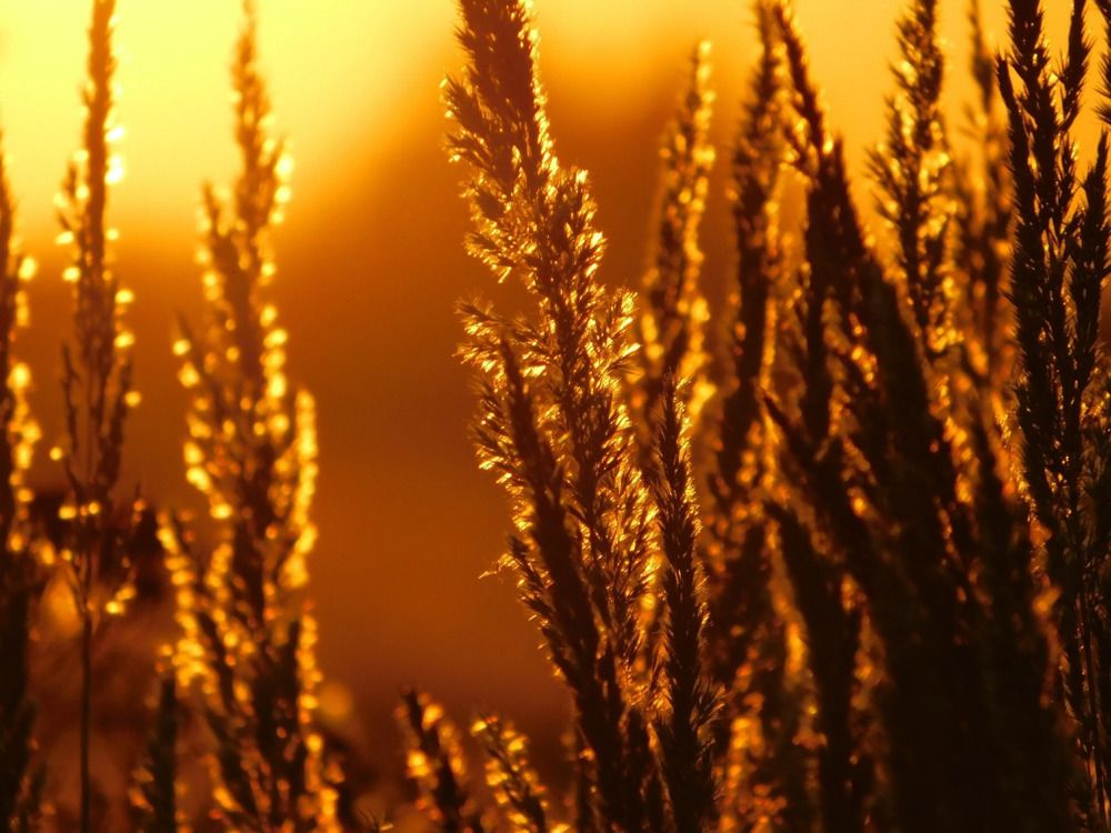 Photograph by Татьяна