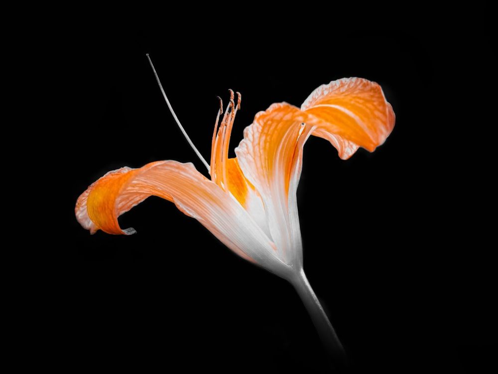 Photograph by Ольга Барулина