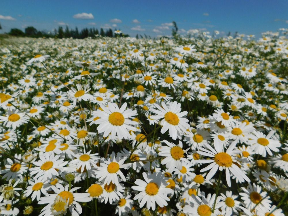 Photograph by Татьяна