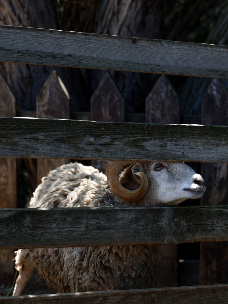 Photograph by Евгения Казакова