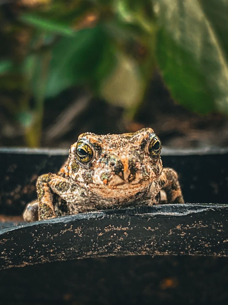 Photograph by Liga Prigoda