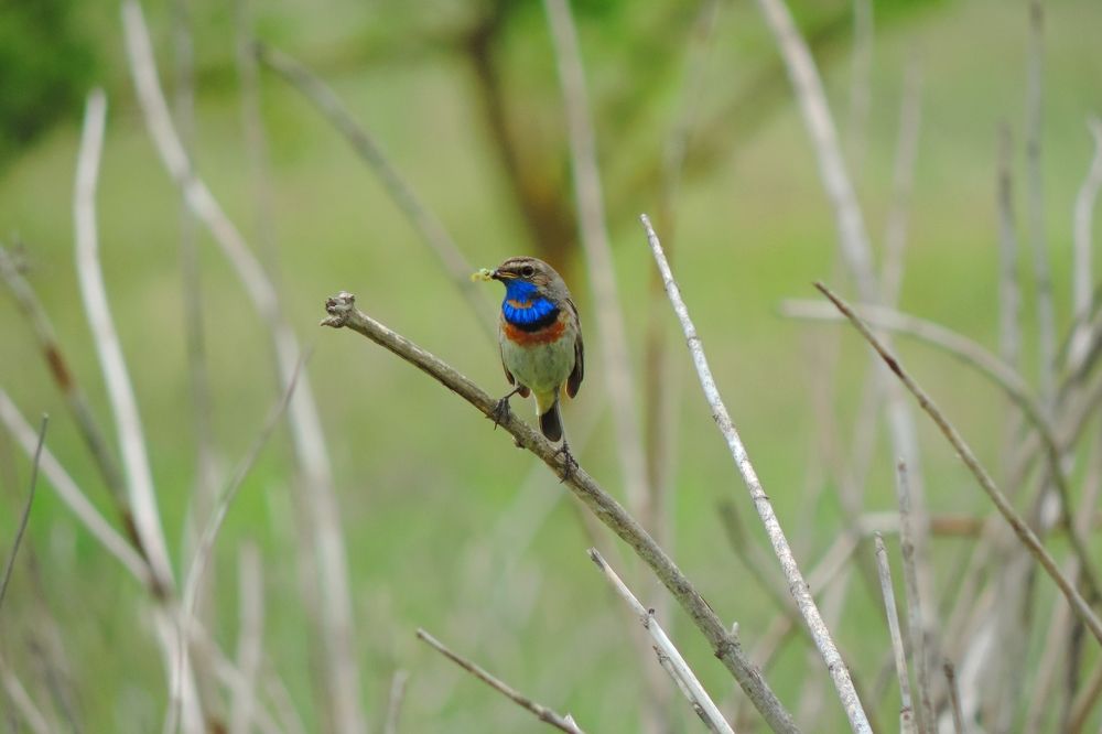 Photograph by Мария Широких