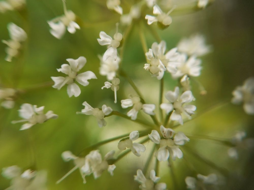 Photograph by Екатерина Хозяшева