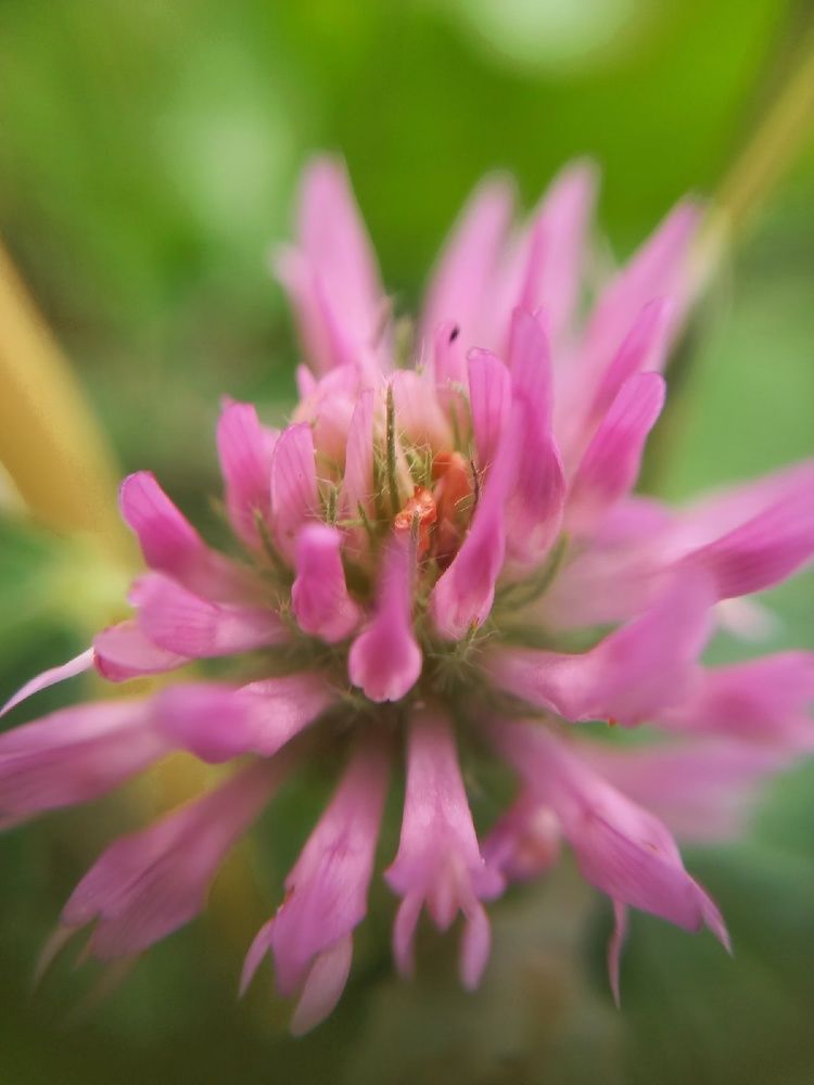 Photograph by Екатерина Хозяшева