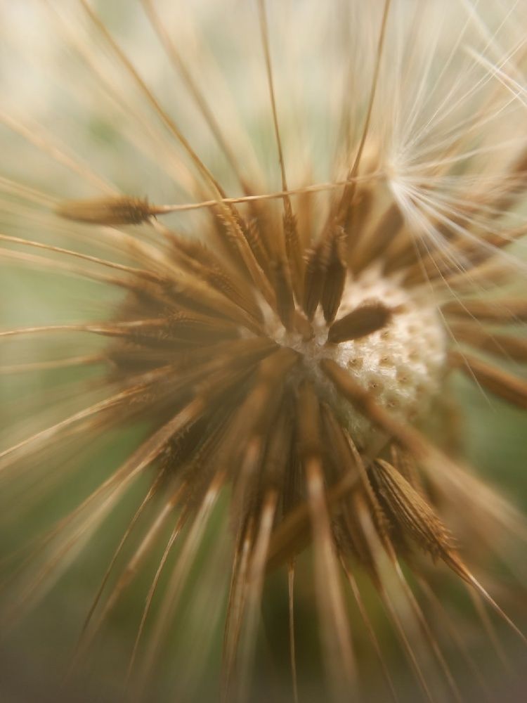 Photograph by Екатерина Хозяшева