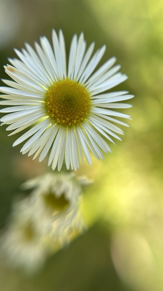 Photograph by Елена Гущина