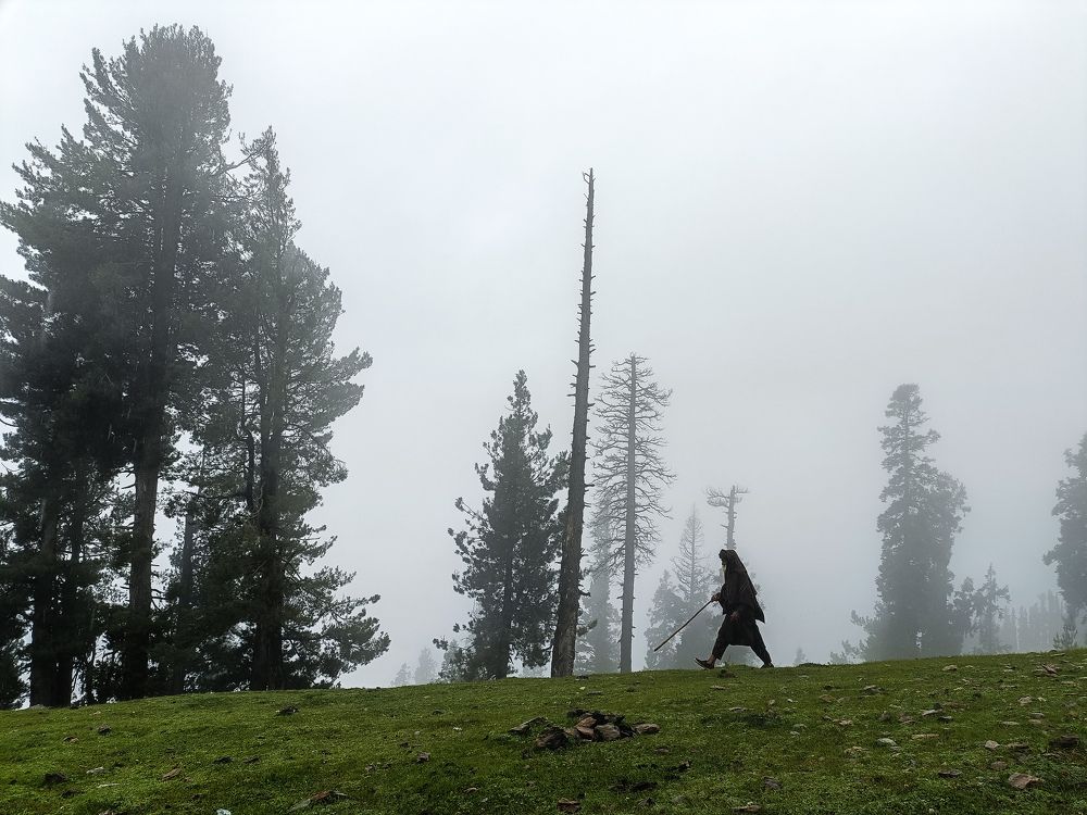 Photograph by Musaib iqbal bhat