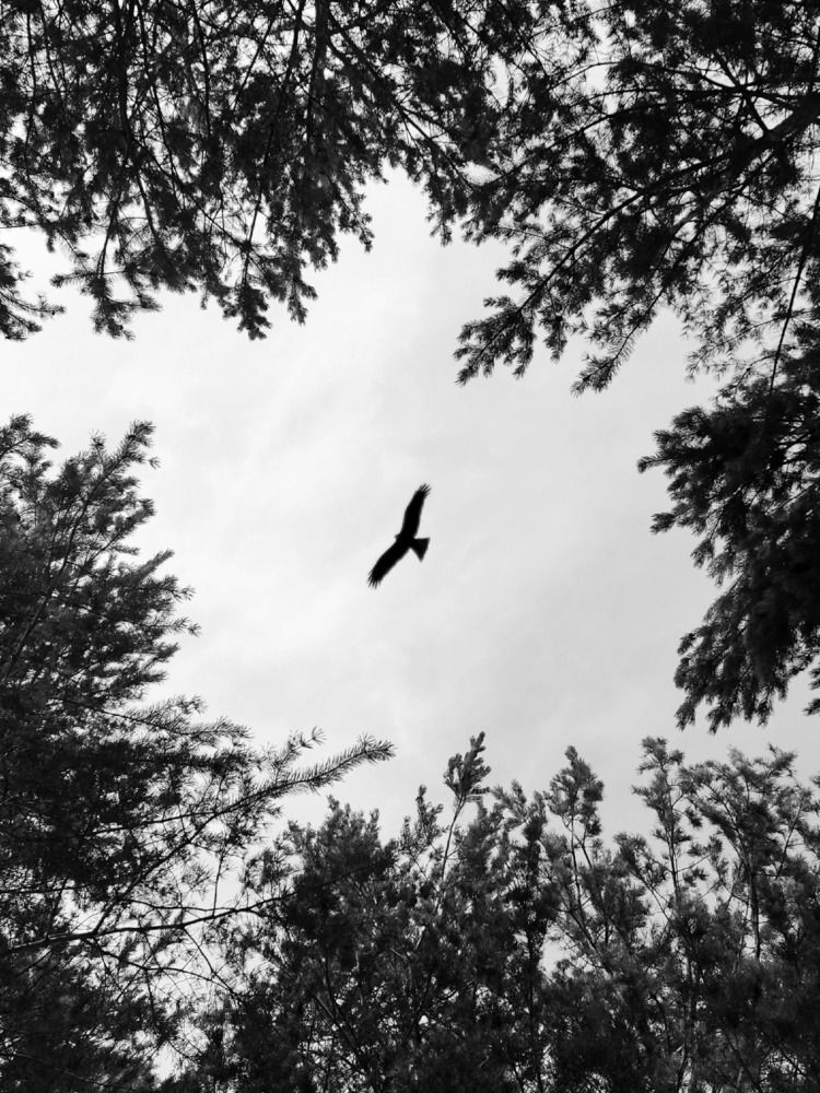 Photograph by Ольга Владимировна