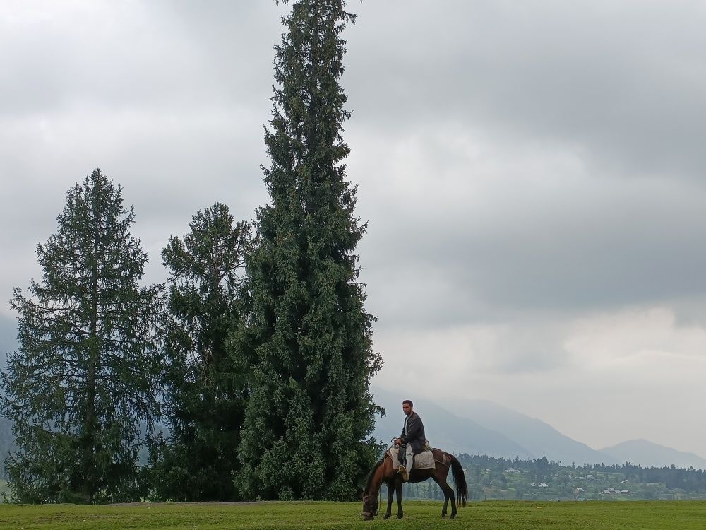 Photograph by Musaib iqbal bhat