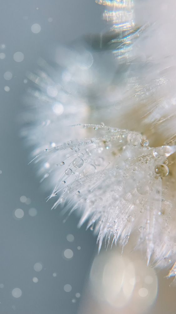 Photograph by Наталья Ключинская