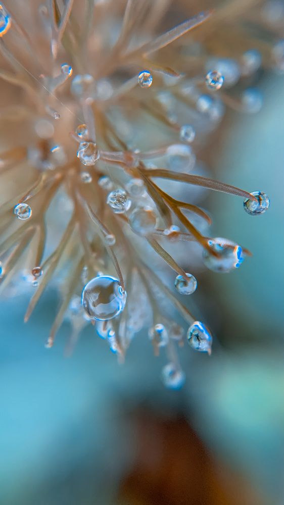 Photograph by Наталья Ключинская