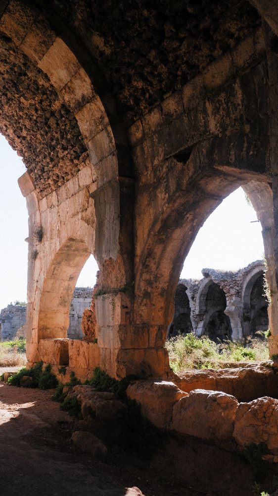 Photograph by Alp Aysgl