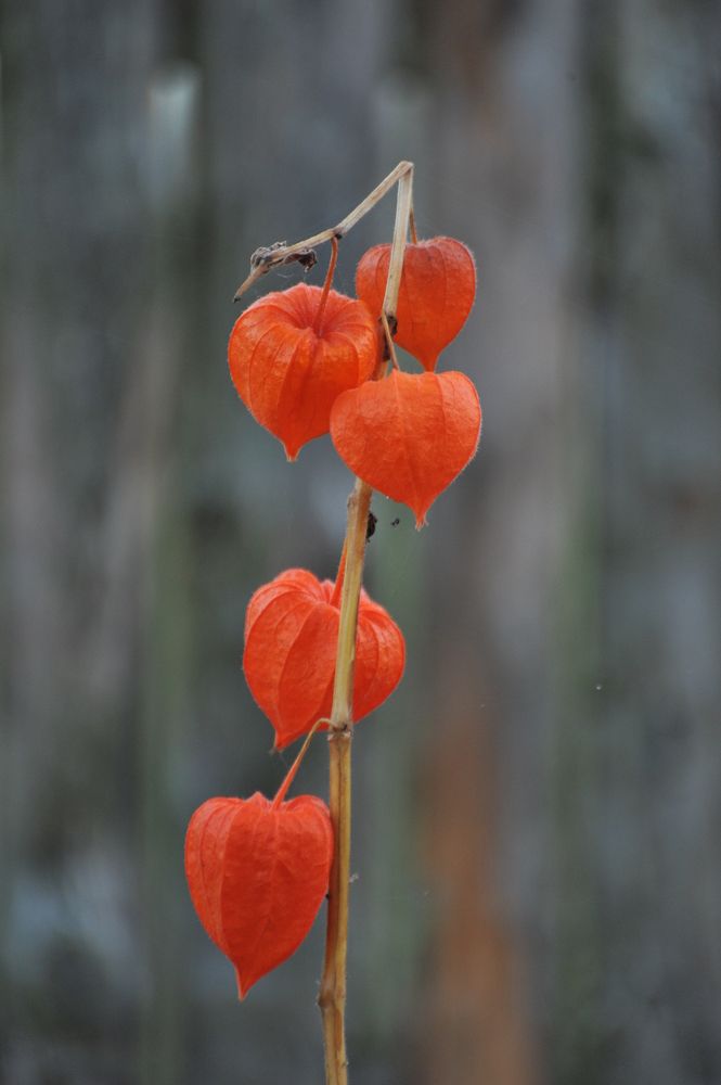 Photograph by Юрий Яковлев