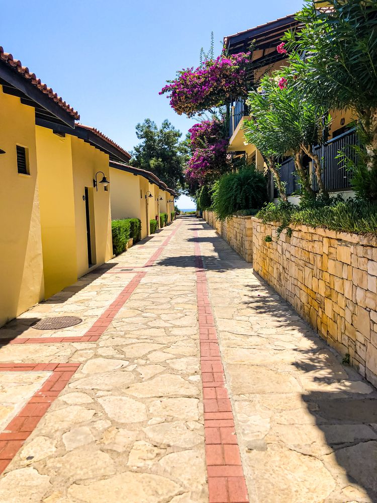 Photograph by Olga Molchanova