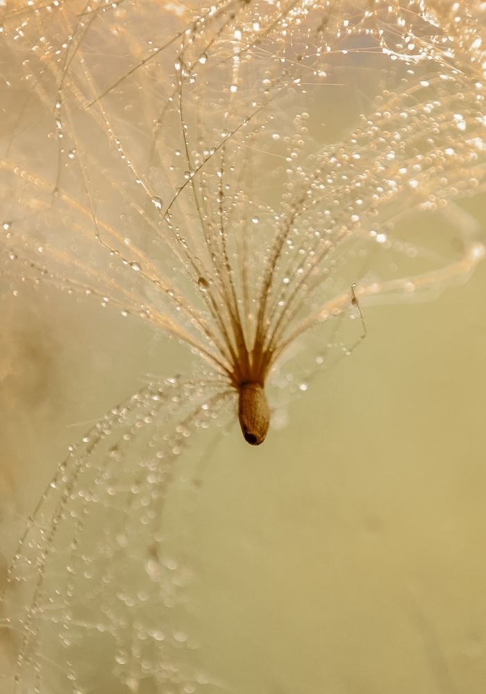 Photograph by Алёна Пшеленская