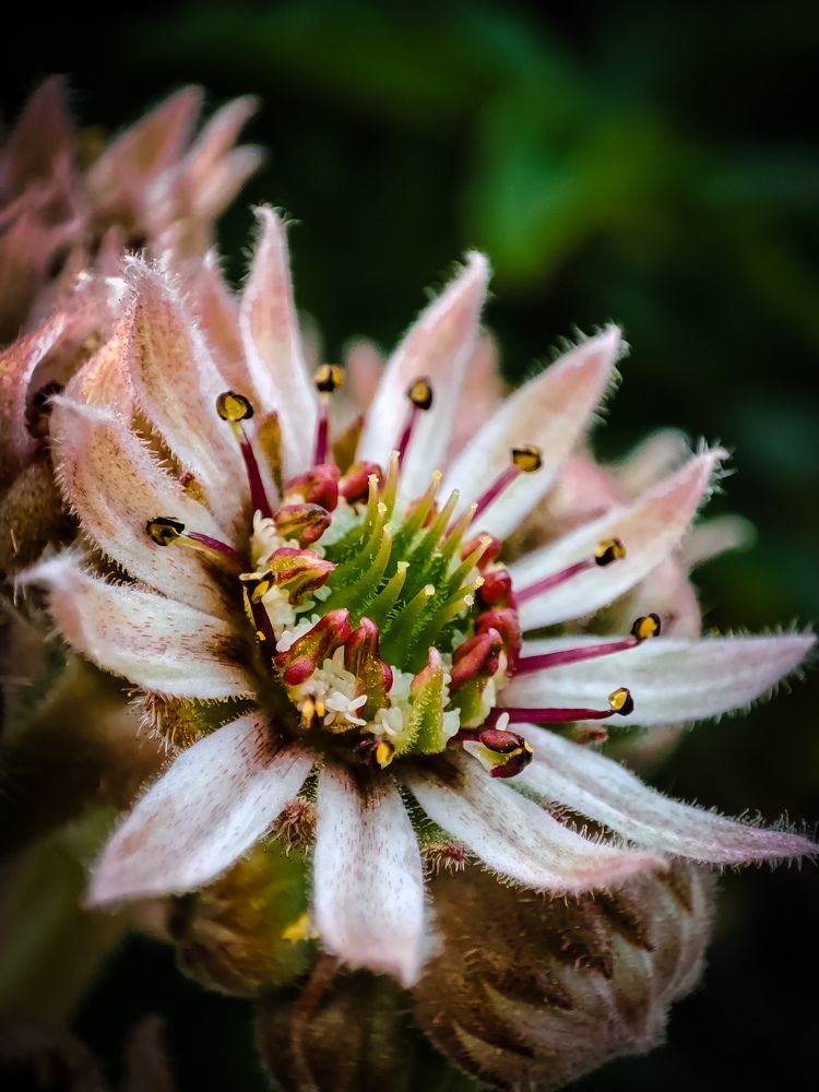 Photograph by Алёна Пшеленская