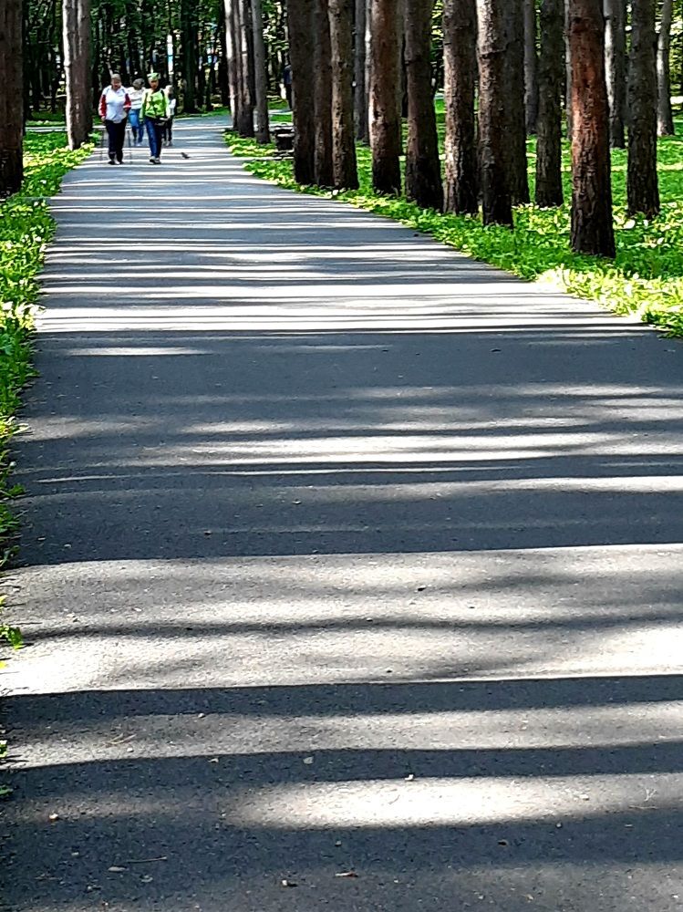 Фотография автора Наталья Шендяпина