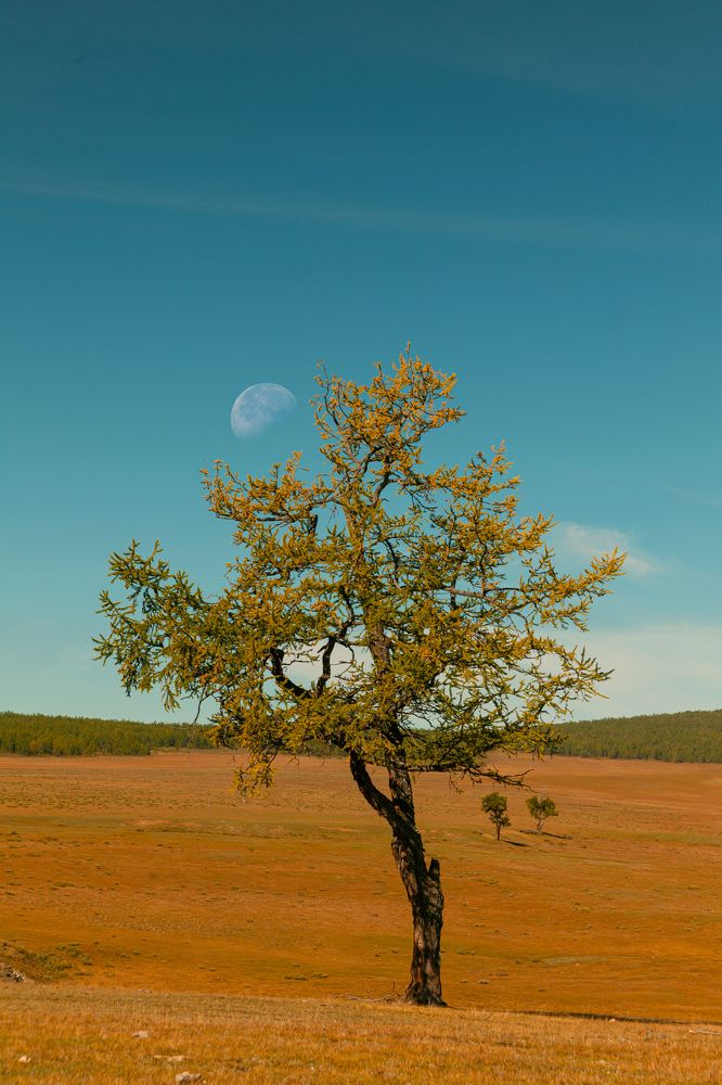 Photograph by Денис Дорошенко