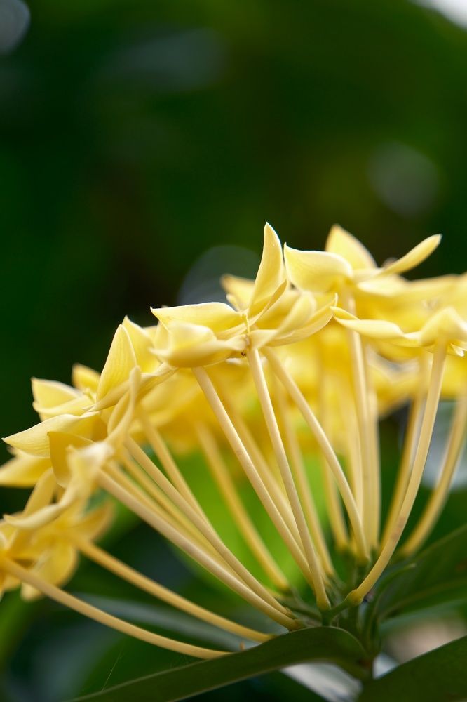 Photograph by Meilany Wijaya