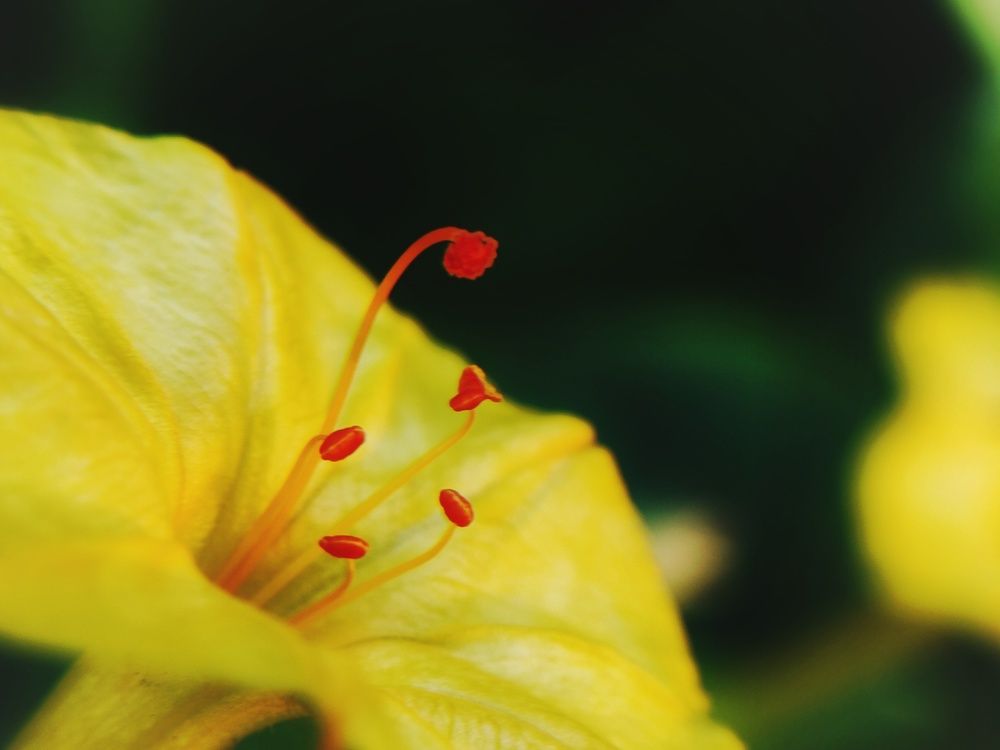 Photograph by Meilany Wijaya