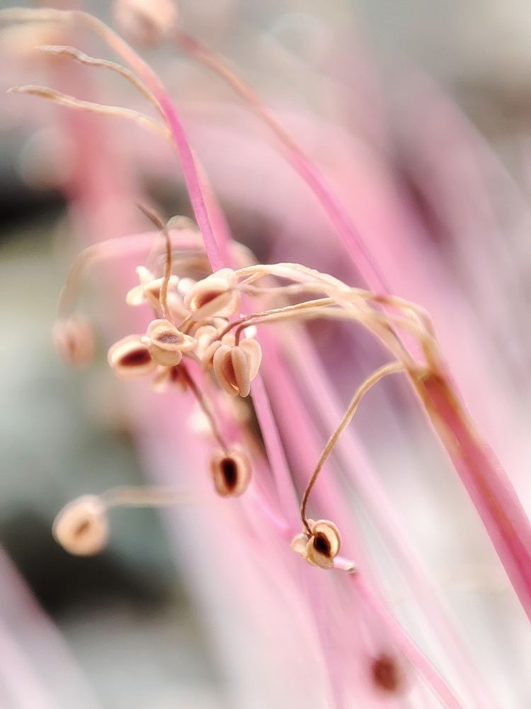 Photograph by Meilany Wijaya