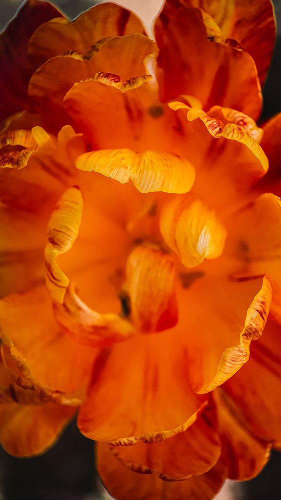 Photograph by Наталья Ключинская