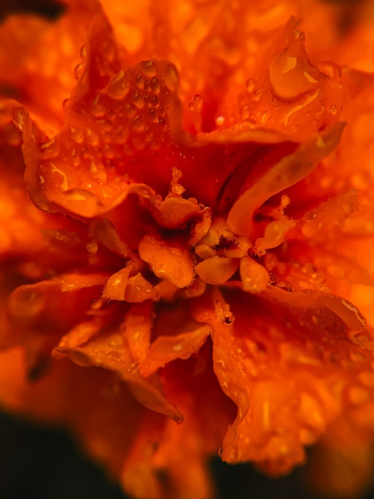 Photograph by Наталья Ключинская