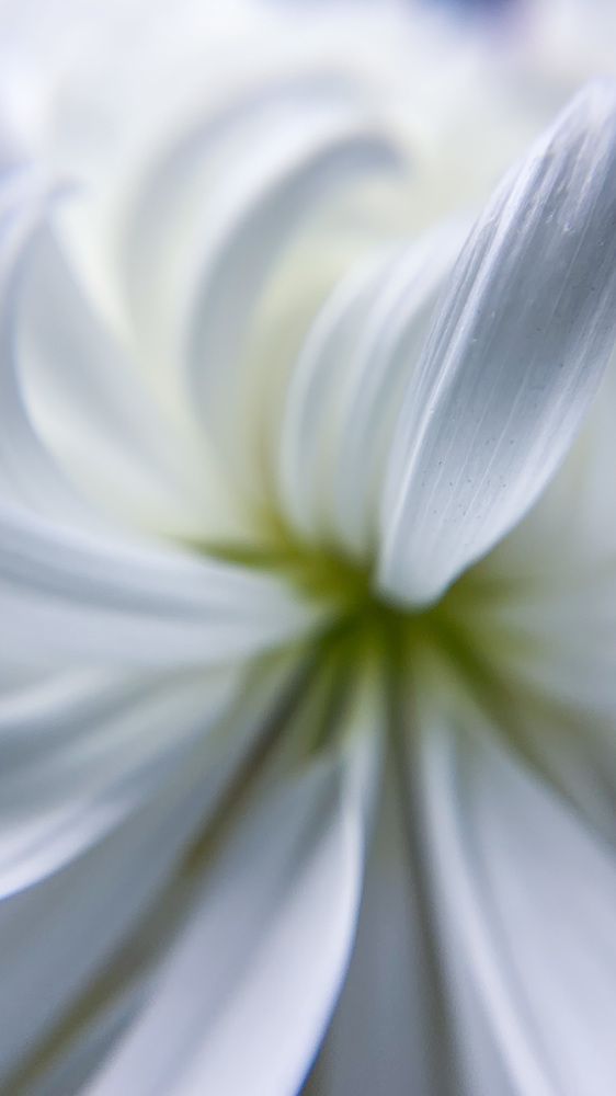 Photograph by Наталья Ключинская