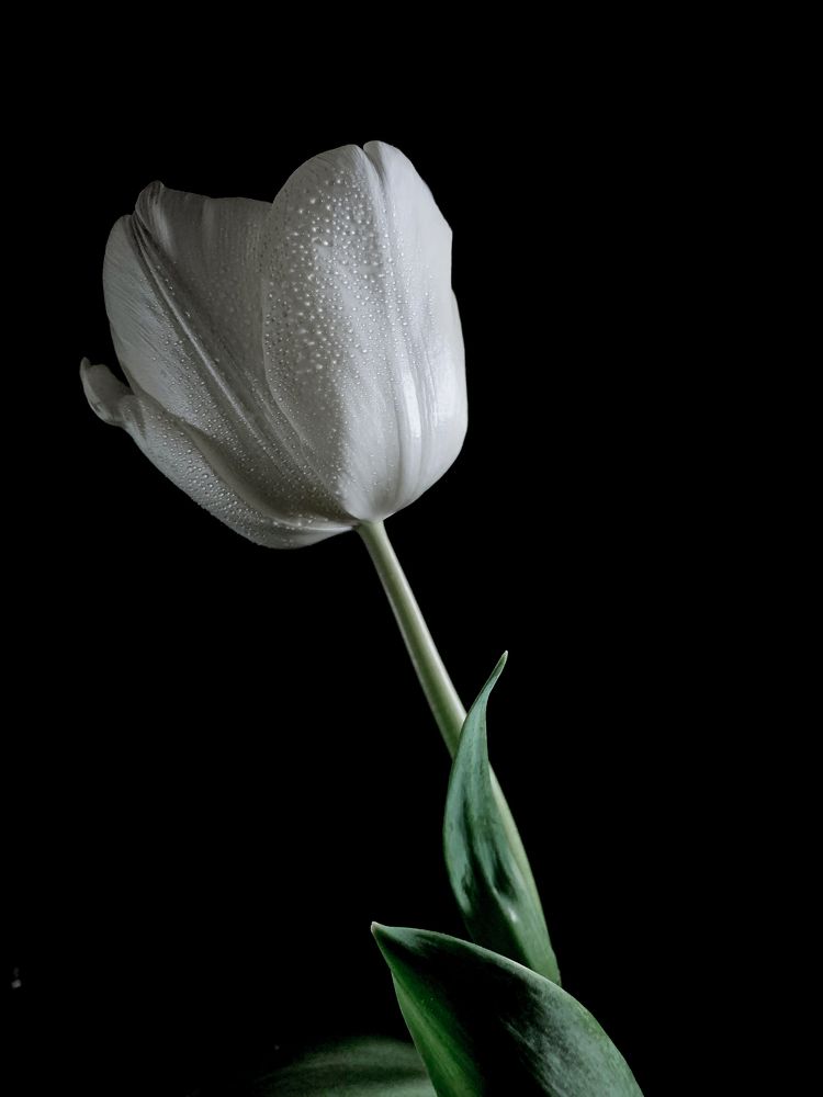 Photograph by Наталья Ключинская