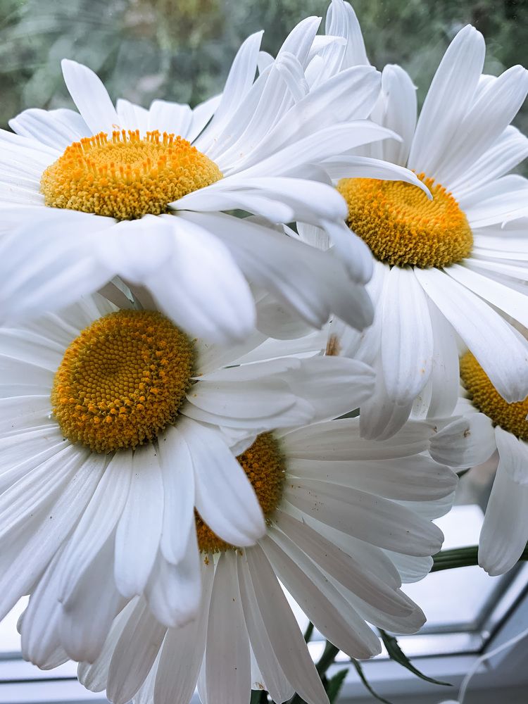 Photograph by Наталья Ключинская