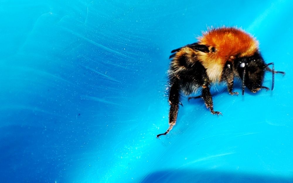 Photograph by Наталья Калюнова