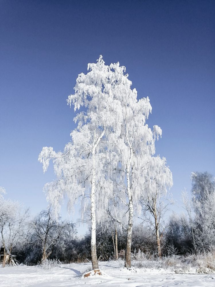 Photograph by Denis Romanov