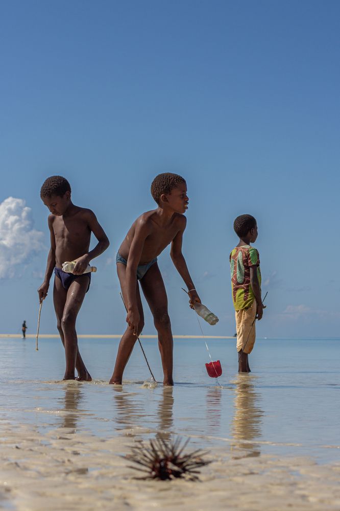 Photograph by Ricardo Ferreira