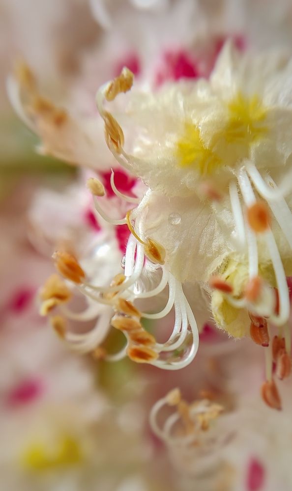 Фотография автора Анастасия Мамаева