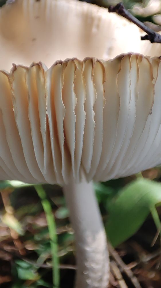 Photograph by Кадырова Анастасия