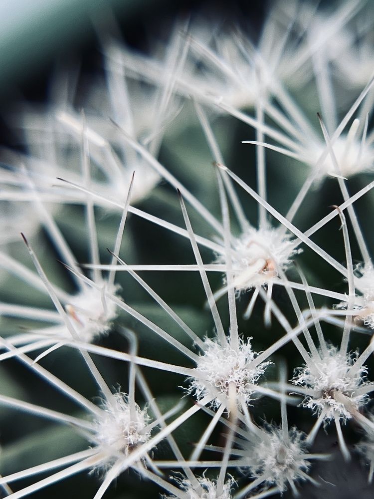 Фотография автора Александра Евченко