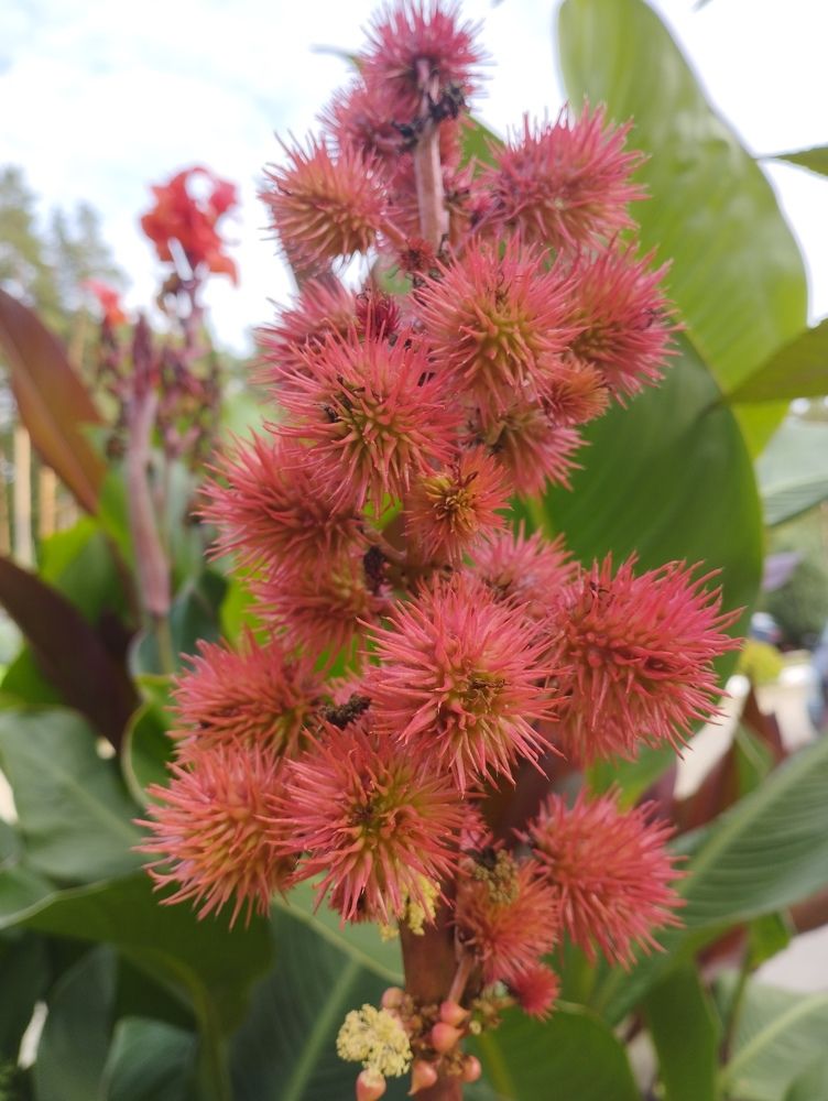 Photograph by Ольга Антохина