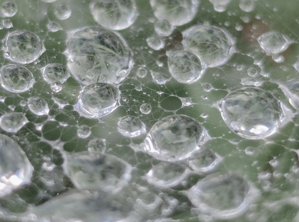 Photograph by JONATHAN VALDEZ