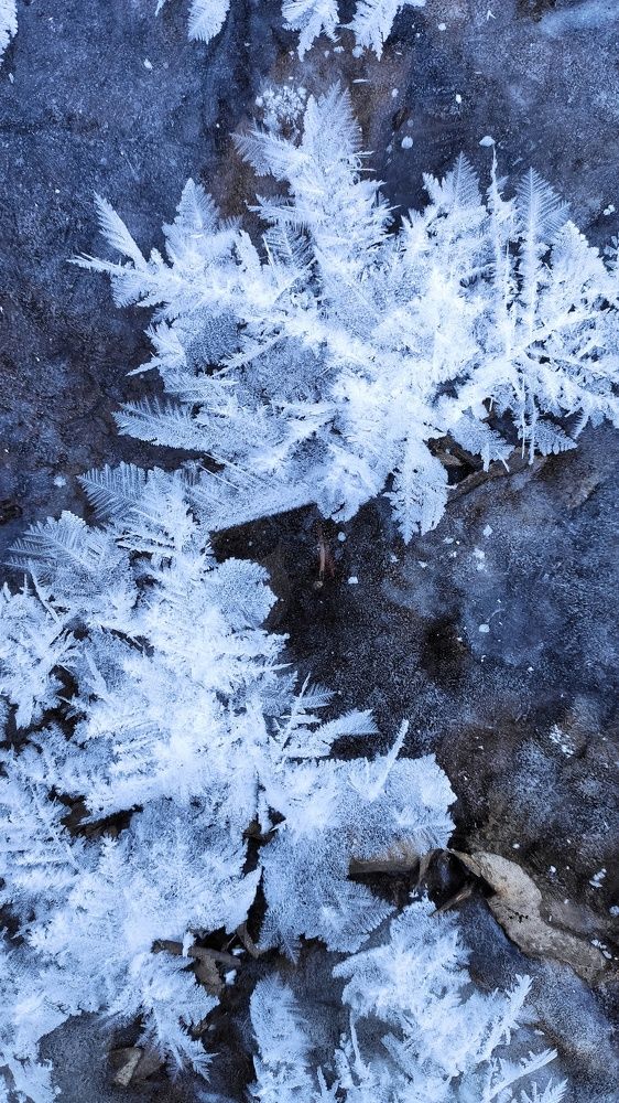 Photograph by Мария Иванова