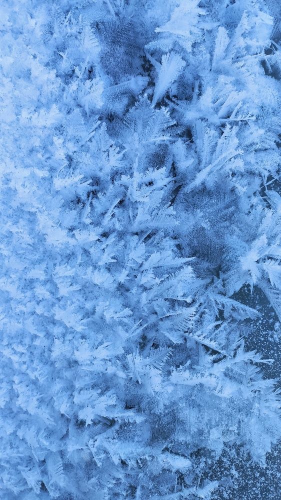 Photograph by Мария Иванова