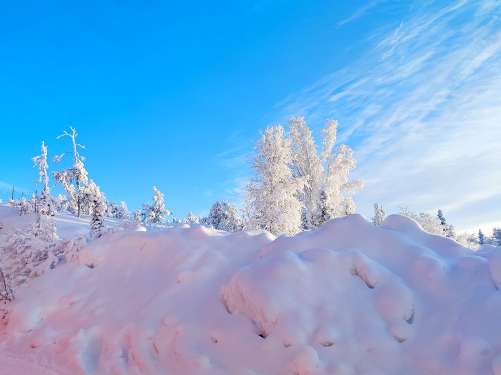 Photograph by JONATHAN VALDEZ